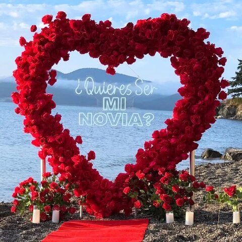 Floral 3D Open Heart Backdrop