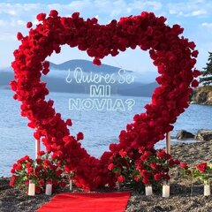 Floral 3D Open Heart Backdrop