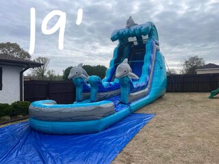 19’ Dolphin Slide - WET 