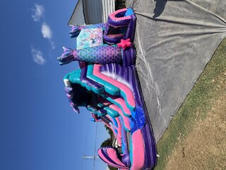 Mermaid combo