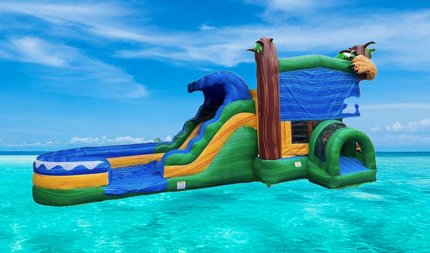 Entertainment & Other Party Rentals Entertainment & Other Party Rentals