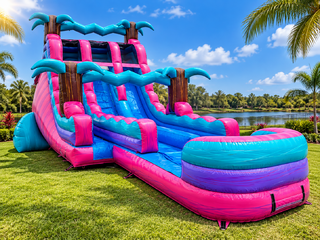 New! Pink Double Splash Slide