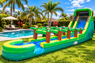 Palm Tree w/ Slip-n-Slide