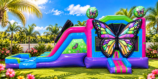 NEW! Butterfly Combo Bouncer (Double Slide)