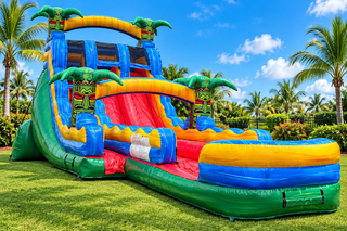 Palm Tree Double Lane Slide
