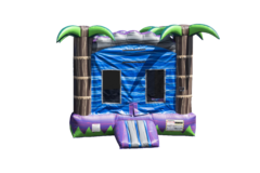 Purple Crush Bounce House 