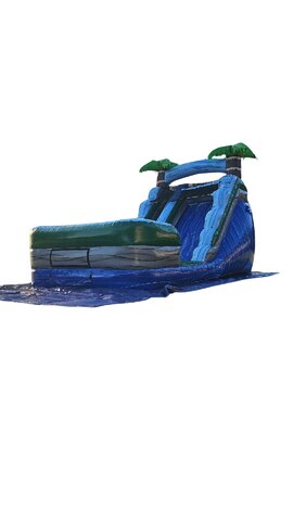 Palm Tree Plunge