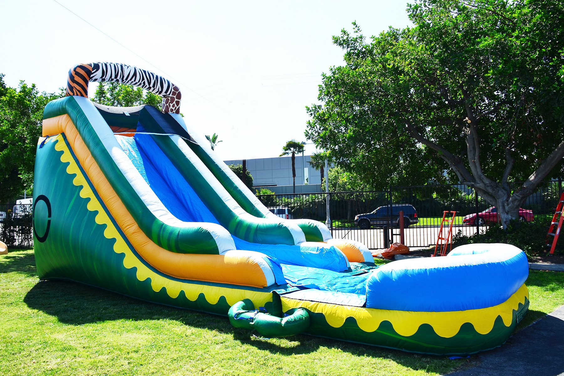 Kids Adult Water Slide Rentals Tropical Palm Tree Water Slide L.A