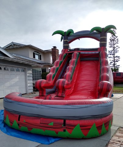 16ft Red Palm Tree Water Slide W123