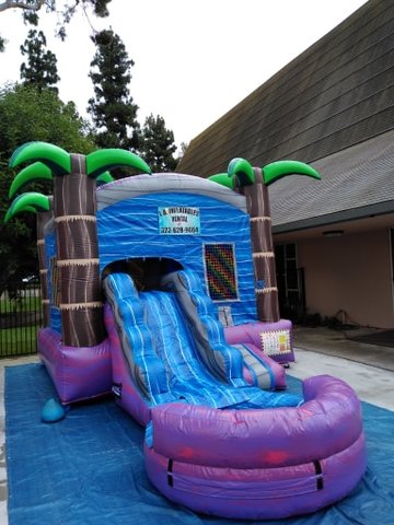 Tropical Combo Water Slide with pool W102