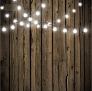 Dark Wood & String Lights Backdrop