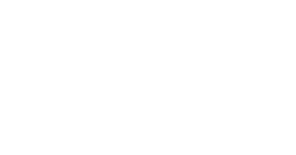 Lake Shore Party Rentals