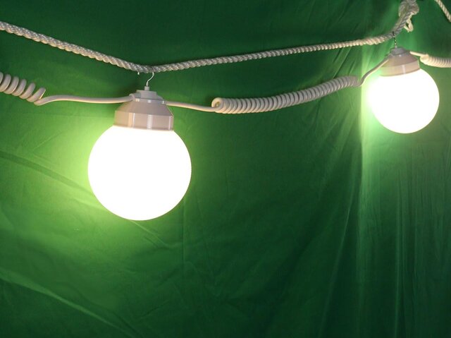 80ft Globe Lights