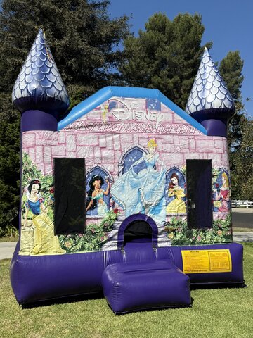 Disney Princess Castle 13X13