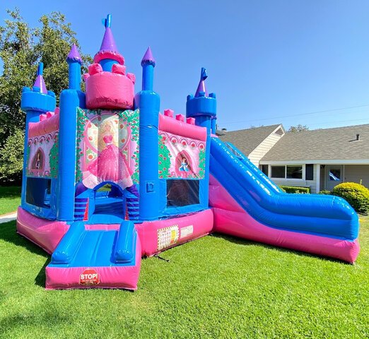 Magical Castle Combo 20Ft Dry Only