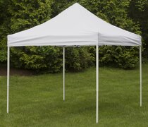Canopy Tent (10x10)