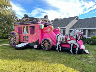 3D Princess Horse Carriage 26Ft Dry Only