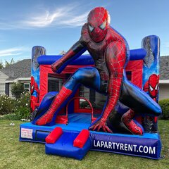 3D Spider Man 13x13