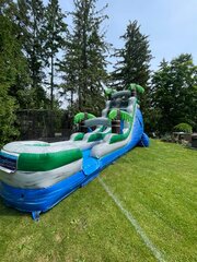 18' Palm Tree Slide