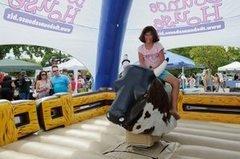 Deluxe Mechanical Bull 