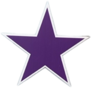 Purple  Star