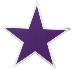 Purple  Star