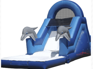 12ft Dolphin Water Slide