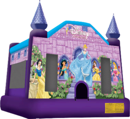 Disney Princess Castle