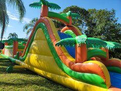 70' Tropical Obstacle With Slide Dry