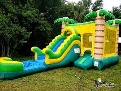 Tropical Palm Tree Inflatable Combo (Wet & Dry)