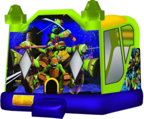 4in1 Tenage Mutant Ninja Turtles (Wet/Dry)