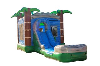 Palm Tree Wet/Dry Combo