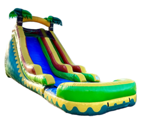 18 Foot Palm Tree Wet/Dry Slide