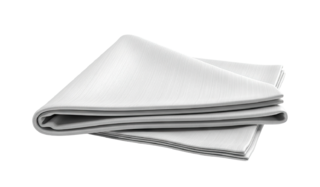 Cloth Napkin - White 