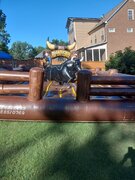 Mechanical Bull Rental