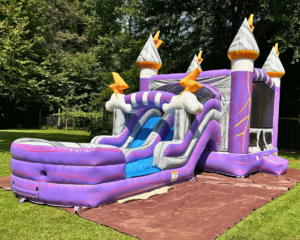 Thunder Dual Waterslide