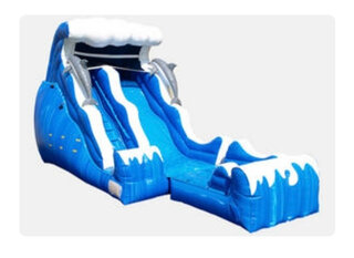 18' Dolphin Water Slide