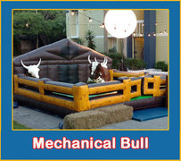 Mechanical Bull