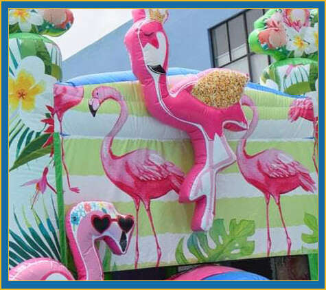 Flamingo Birthday Party Bounce House Rental