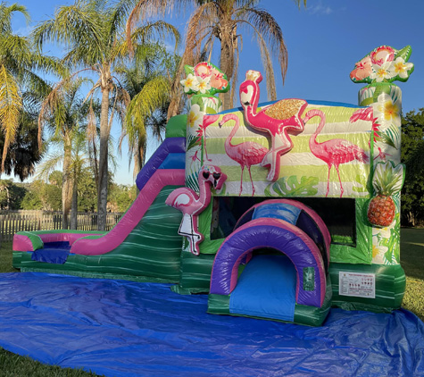 Flamingo Bounce House Rental