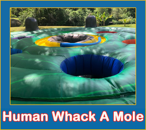 Human Whack A Mole Interactive Game Rental | Bradenton, FL