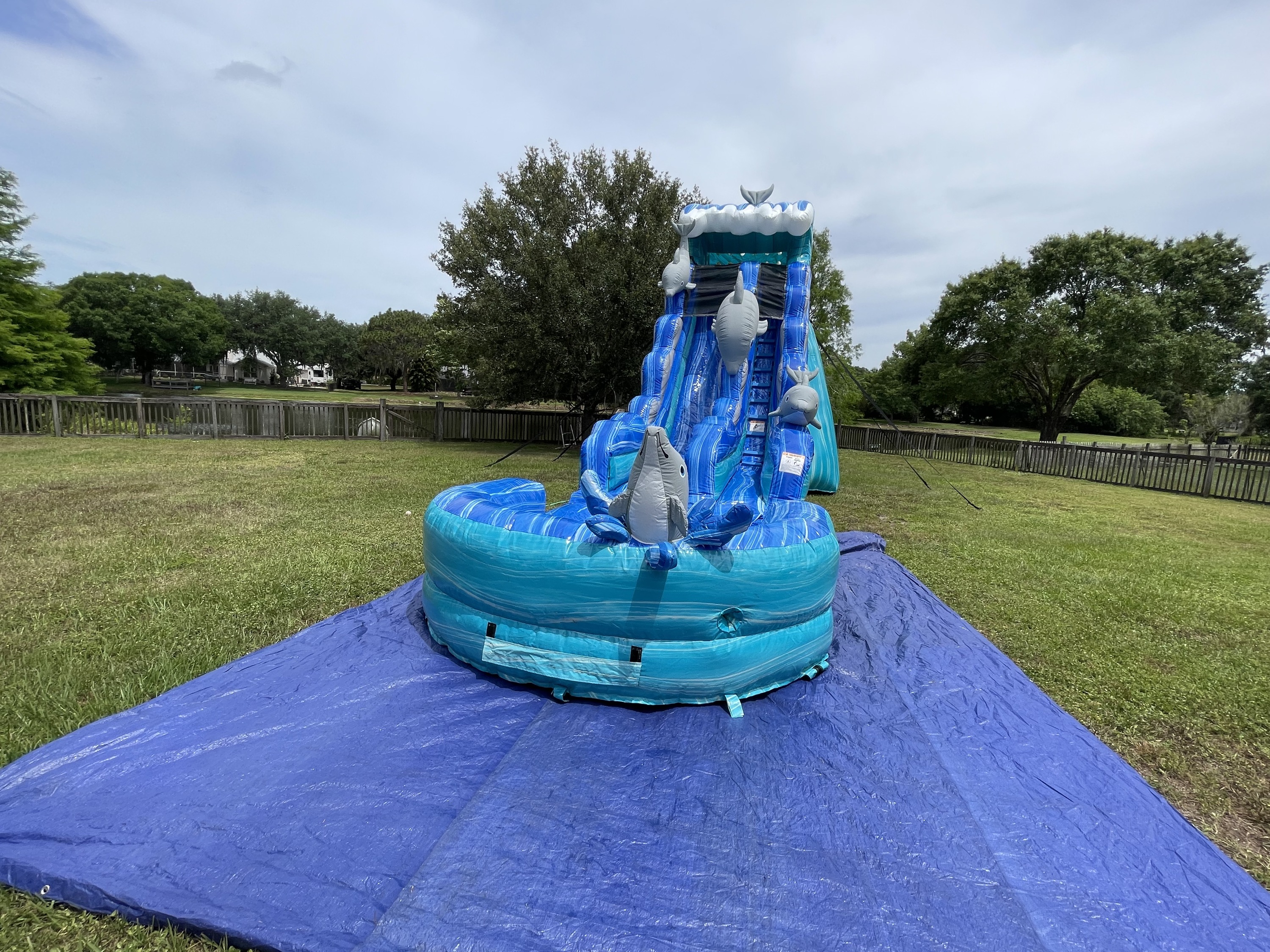 Dolphin Water Slide Rental