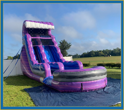 Purple Crush Inflatable Water Slide Rental