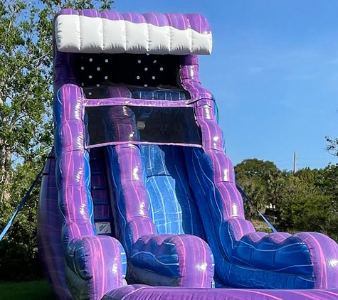 Purple Crush Inflatable Water Slide Rental