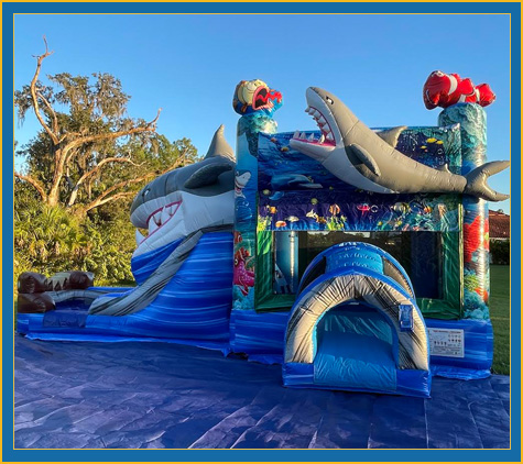 Shark Bounce House Combo Rental Sarasota Bradenton Parrish