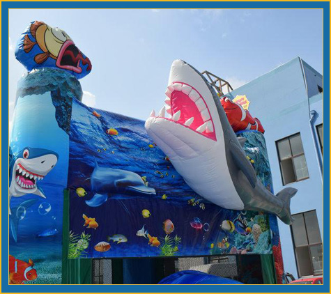 Shark Bounce House Combo Rental Sarasota Bradenton Parrish