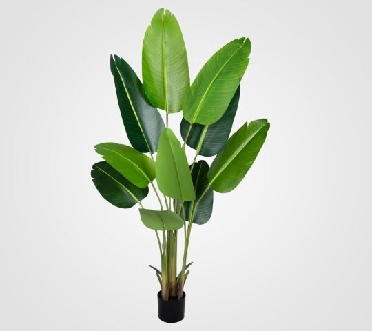 Bird of Paradise Plant 5FT - Artificial