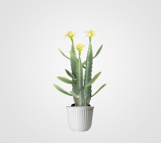 Cactus with Lilly White Flowers Plant 3FT - Artificial