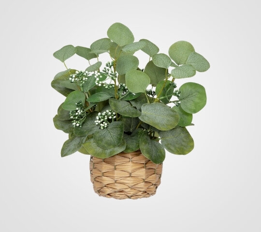 Eucalyptus Leaf Plant - Artificial