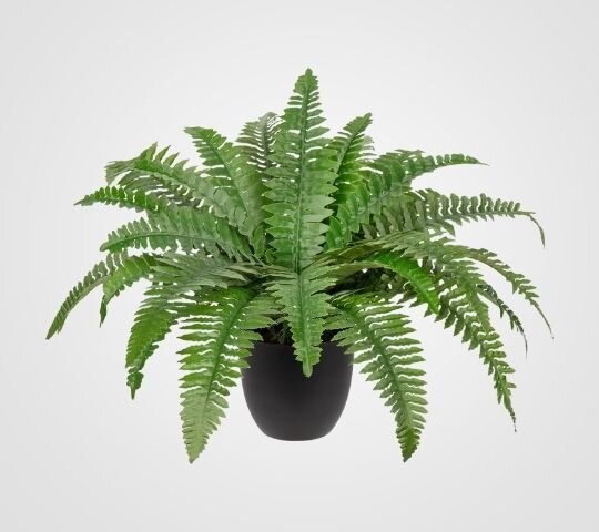 Fern Plant - Artificial